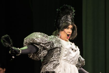 A performer dressed as Zorro in a theatrical pantomime, showcasing expressive acting and elaborate costume design. Zorro pantomime performer in costume on stage.
