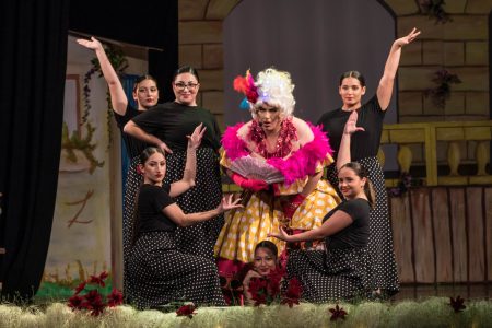 A theatrical scene featuring performers dressed as Zorro and supporting cast in a colourful stage setting. Zorro-themed pantomime with actors in costume on stage.